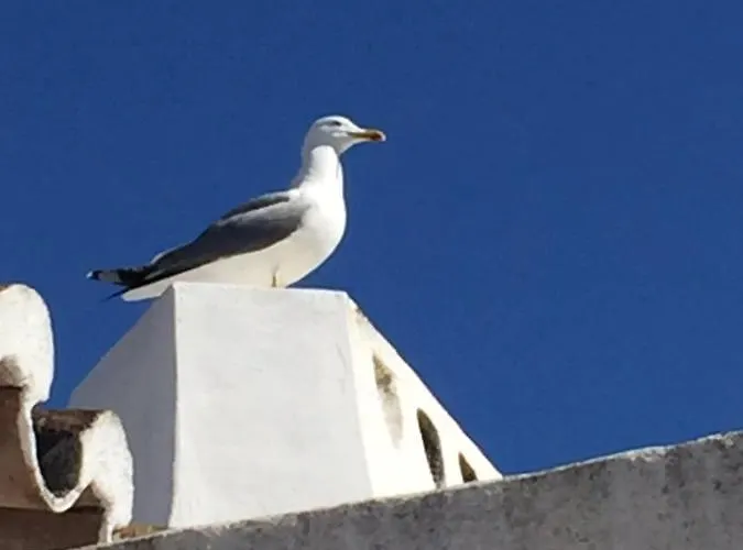 Oliver Διαμέρισμα *