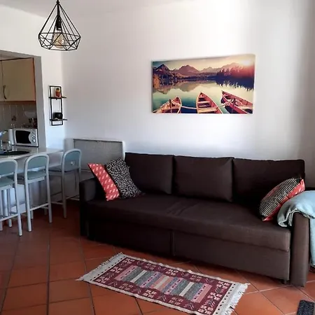Oliver Apartment *